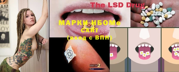 спайс Алзамай