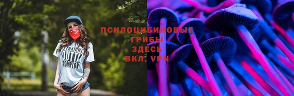 спайс Алзамай