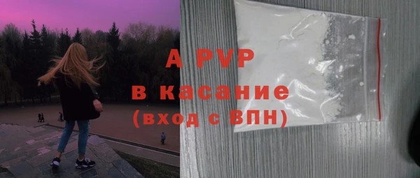 гашик Алексин
