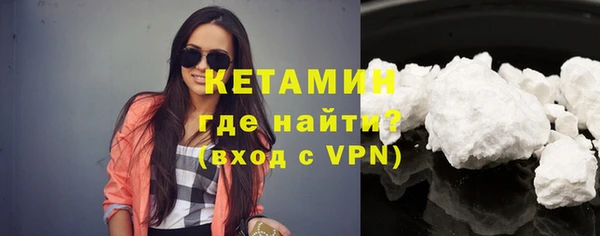 гашик Алексин