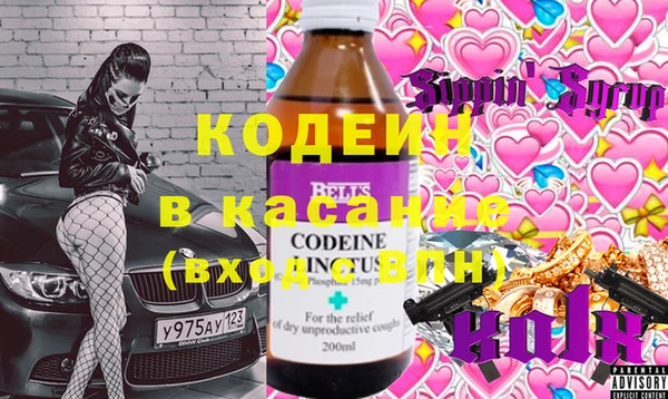 гашик Алексин