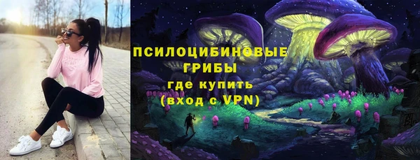 гашик Алексин