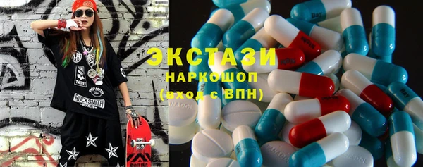 гашик Алексин