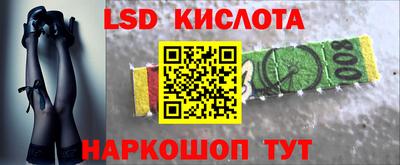 прущие грибы Абинск