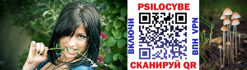 Псилоцибиновые грибы прущие грибы Анапа