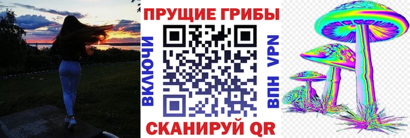 Псилоцибиновые грибы GOLDEN TEACHER  сколько стоит  Анапа 