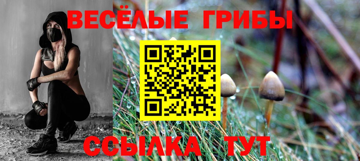 Галлюциногенные грибы мухоморы  Вход с VPN  Анапа  купить наркотики цена  Псилоцибиновые грибы ЛСД 