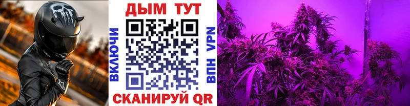 купить наркоту  Анапа  Каннабис сатива 